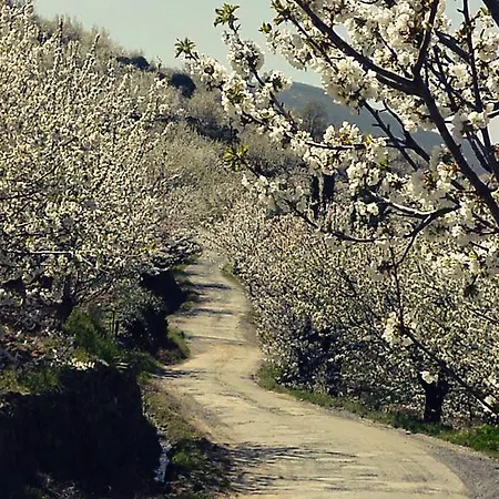 Apartamento Rurales Cumbres De Gredos Jaraíz de la Vera